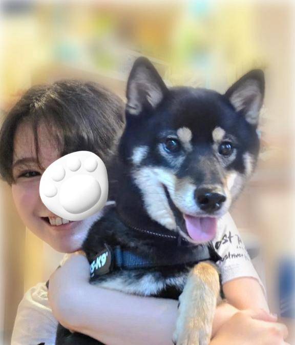 乃木あやめpicture