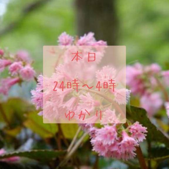 朝桐ゆかりpicture
