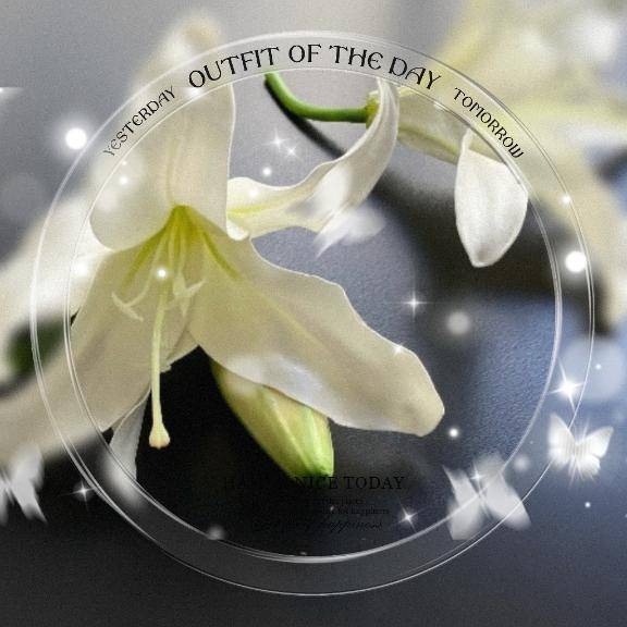 菊池ひろかpicture